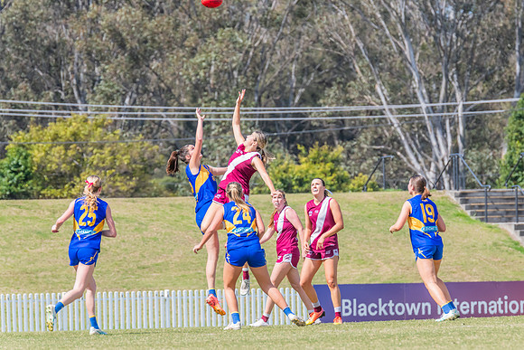 WPD Qualifying Final 2 - East Coast v Manly Warringah - 7 Septem