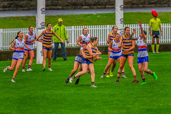 Rd 8 WPD - UNSW-ES v Sydney Uni - 1 June 2024