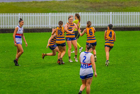 Rd 8 WPD - UNSW-ES v Sydney Uni - 1 June 2024