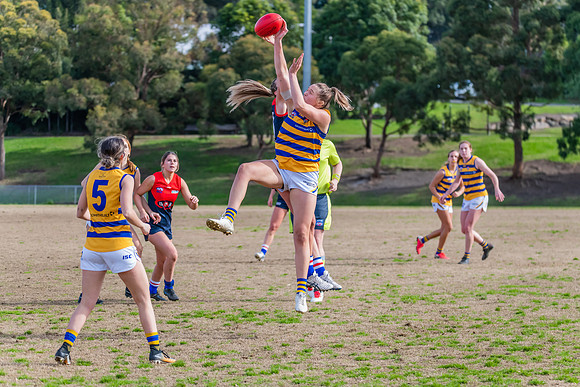 Rd 14 WPD - Pennant Hills v Sydney Uni - 16 July 2022