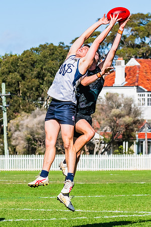 Rd 8 MPD - UTS v SWS - 31 May 2025