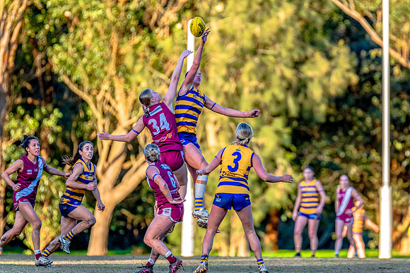 Rd 17 WPD - Manly Warringah v Sydney Uni - 16 August 2025