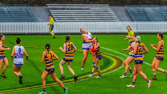 Rd 8 WPD - UNSW-ES v Sydney Uni - 1 June 2024