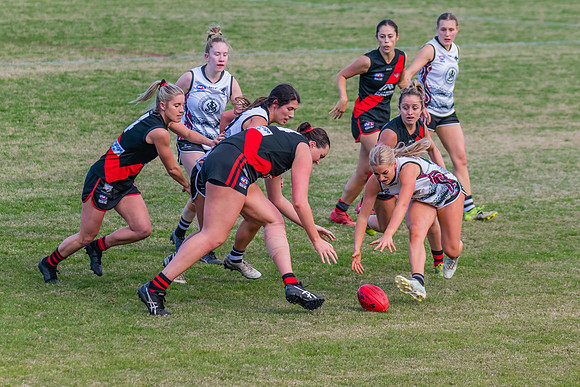 WPD Elimination Final - North Shore v Inner West - 7 August 2022