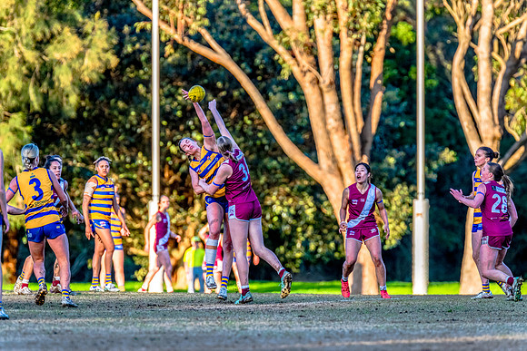 Rd 17 WPD - Manly Warringah v Sydney Uni - 16 August 2025