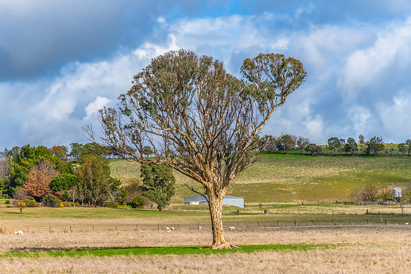 Winter rural landscapes with clouds and countryside views