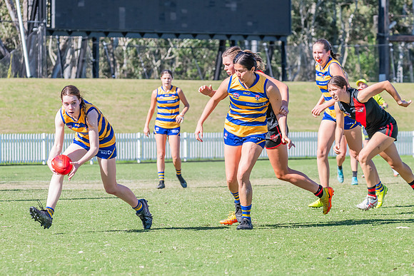 WPD Elimination Final - North Shore v Sydney Uni - 1 September 2