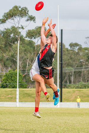 MPD Qualifying Final 2 - North Shore v Pennant Hills - 7 Septemb