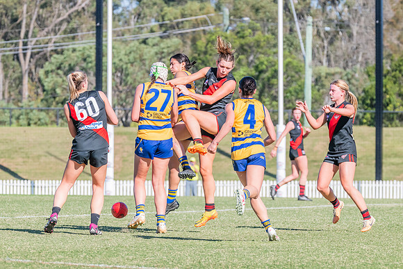 WPD Elimination Final - North Shore v Sydney Uni - 1 September 2