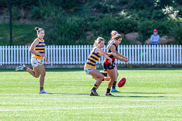 Rd 3 WPD - North Shore v Sydney Uni - 23 April 2022