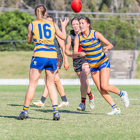 WPD Elimination Final - North Shore v Sydney Uni - 1 September 2