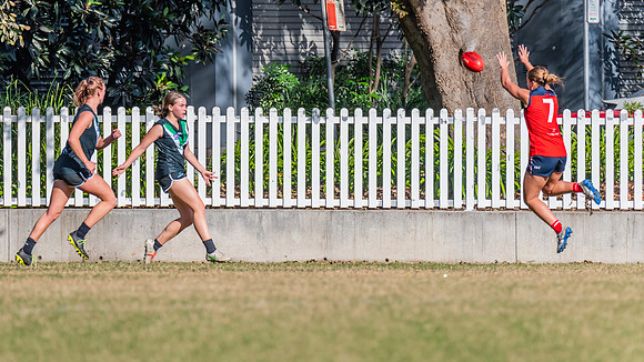 Rd 11 WPD - UTS v Pennant Hills - 25 June 2022