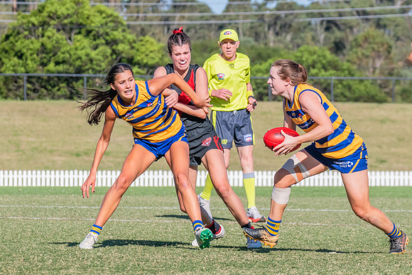 WPD Elimination Final - North Shore v Sydney Uni - 1 September 2