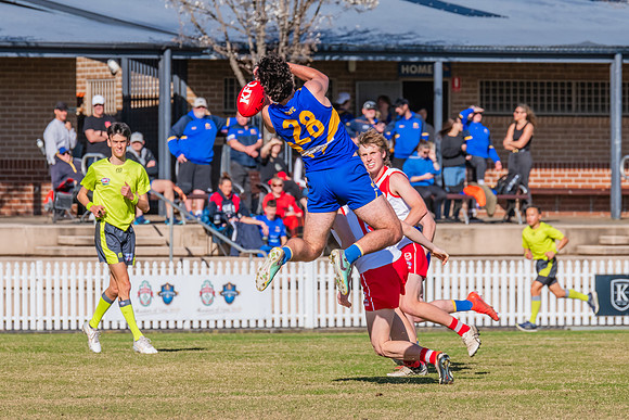 Rd 17 MPD - East Coast v St George - 17 August 2024