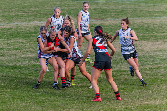 WPD Elimination Final - North Shore v Inner West - 7 August 2022