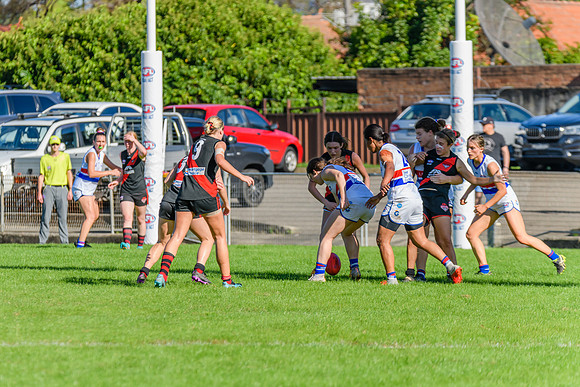 Rd 6 WPD - UNSW ES v North Shore - 14 May 2022