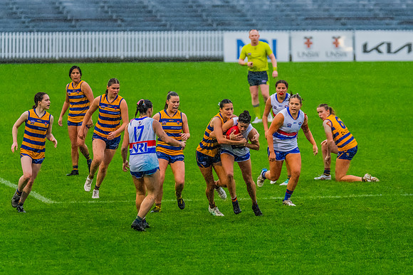 Rd 8 WPD - UNSW-ES v Sydney Uni - 1 June 2024