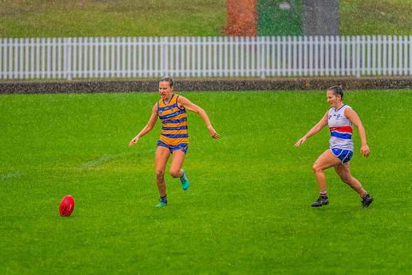 Rd 8 WPD - UNSW-ES v Sydney Uni - 1 June 2024