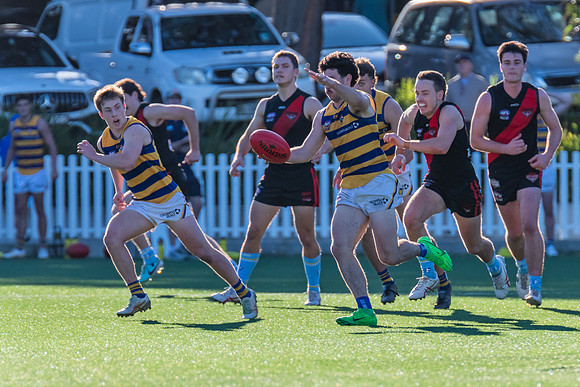 Rd 15 MPD - North Shore v Sydney Uni - 3 August 2024