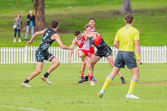 Rd 7 MPD - St George v UTS - 25 May 2024