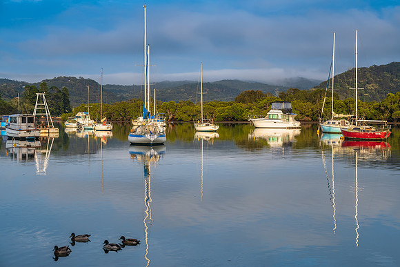 Misty morning with boats and ducks on the bay