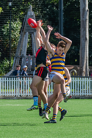 Rd 15 MPD - North Shore v Sydney Uni - 3 August 2024