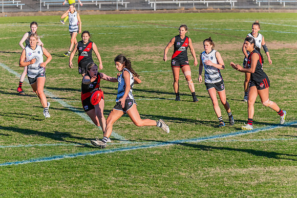 WPD Elimination Final - North Shore v Inner West - 7 August 2022