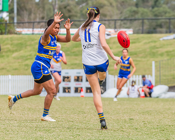 WPD Semi Final - Parramatta v Sydney Uni - 8 September 2024