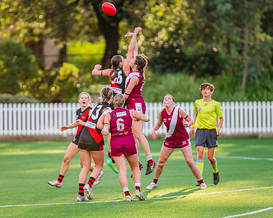 Rd 1 WPD - North Shore v Manly Warringah - 8 June 2024