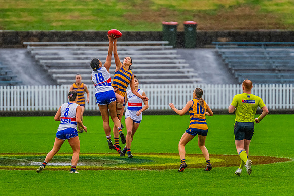 Rd 8 WPD - UNSW-ES v Sydney Uni - 1 June 2024