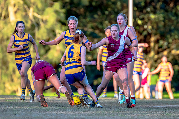 Rd 17 WPD - Manly Warringah v Sydney Uni - 16 August 2025