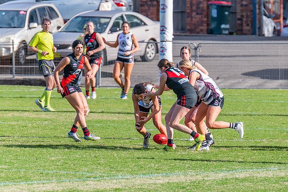 WPD Elimination Final - North Shore v Inner West - 7 August 2022