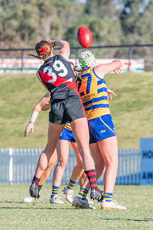 WPD Elimination Final - North Shore v Sydney Uni - 1 September 2