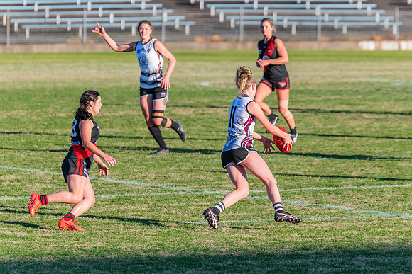 WPD Elimination Final - North Shore v Inner West - 7 August 2022