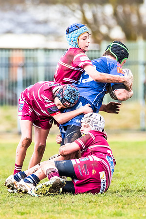 Rd 11 Blayney U13s v Bloomfield Tigers U13s - 2 August 2025