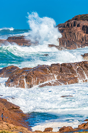 A wild day at the seaside