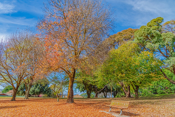 Autumn gives way to Winter at the Park
