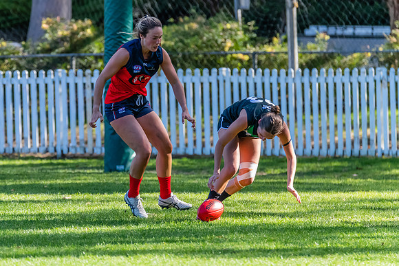 Rd 11 WPD - UTS v Pennant Hills - 25 June 2022