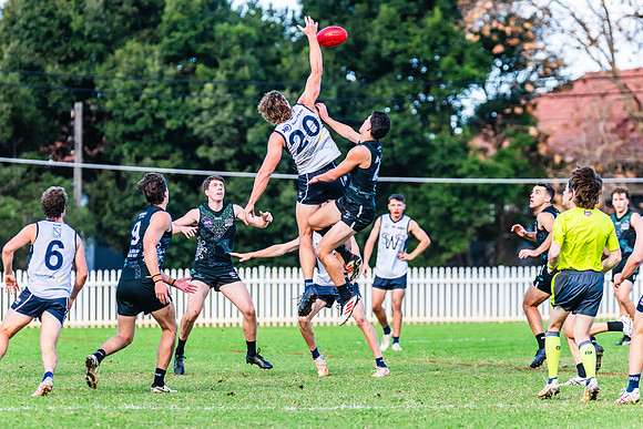Rd 8 MPD - UTS v SWS - 31 May 2025