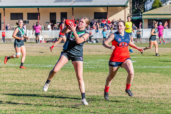 Rd 11 WPD - UTS v Pennant Hills - 25 June 2022