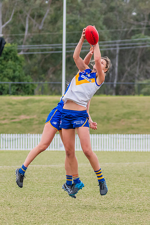 WPD Semi Final - Parramatta v Sydney Uni - 8 September 2024