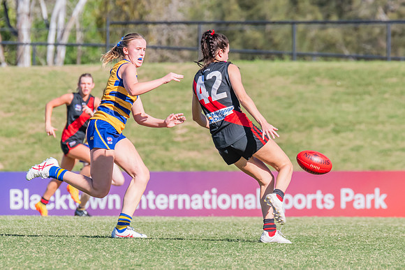 WPD Elimination Final - North Shore v Sydney Uni - 1 September 2