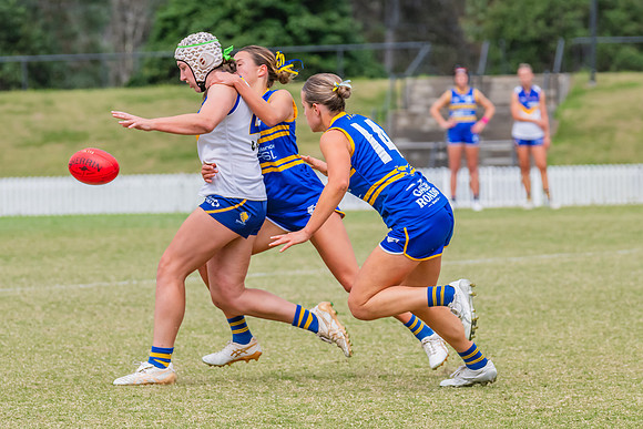 WPD Semi Final - Parramatta v Sydney Uni - 8 September 2024