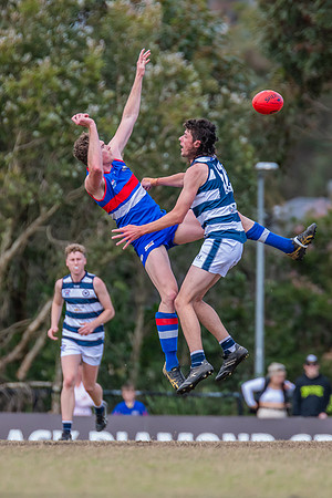 Black Diamond Shield Warners Bay v Muswellbrook - 17 September 2022
