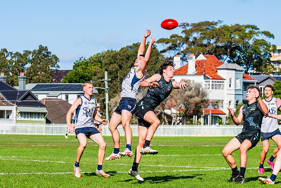Rd 8 MPD - UTS v SWS - 31 May 2025