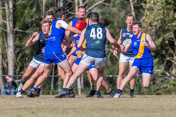 Black Diamond Plate Men's Nelson Bay v Newcastle City - 17 Septe