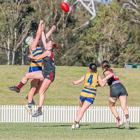 WPD Elimination Final - North Shore v Sydney Uni - 1 September 2