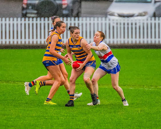 Rd 8 WPD - UNSW-ES v Sydney Uni - 1 June 2024