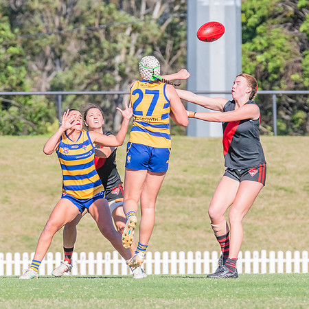 WPD Elimination Final - North Shore v Sydney Uni - 1 September 2