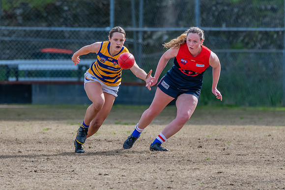 Rd 14 WPD - Pennant Hills v Sydney Uni - 16 July 2022